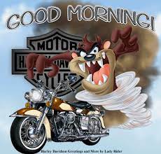 Pin On Harley Davidson