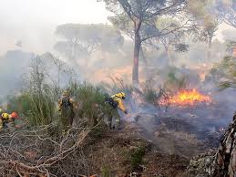 Con respecto a esto, sánchez indicó que los incendios que se. Activado El Nivel 2 En El Incendio Declarado En El Hoyo De Pinares Avila Ante La Necesidad De Efectuar Una Evacuacion