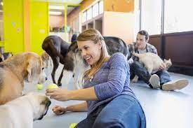What To Know Before You Open A Pet Store