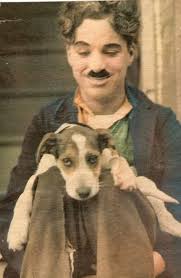 Chaplin With Dog Charlie Chaplin Komedyenler Dunya Tarihi