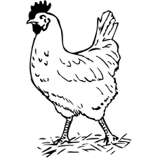 Black And White Hen Halloween Clipart Black And White Chickens Google Search Coloriage Dessin A Imprimer Gratuit Image De Poule