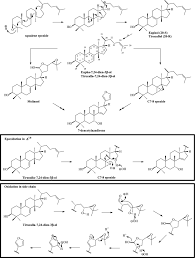 Image result for Trichilia prieuriana