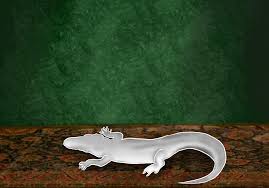 From the swamp to stardom: Doechiis “Alligator Bites Never Heal” brings  reflection to her rap reign - Campus Times