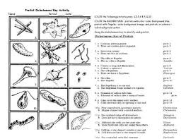 A karyotype is an organized profile of a person's chromosomes. Student Exploration Dichotomous Keys Answer Key