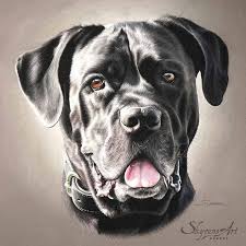 Galerie Artiste Animalier Skyzune Art Peinture Et Pastel Art A Theme Chien Peintures De Chien Art A Theme Oiseau