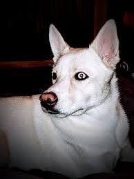 by Heather Shelpman. Photo stock