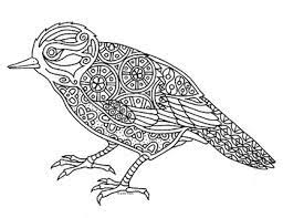 Bird coloring page with zentangled bird vector. Xenops Bird Zentangle Coloring Page By Pamela Kennedy Tpt