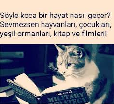 Seda Adli Kullanicinin Sozce Panosundaki Pin 2020 Kitap Hayvanlar Guzel Soz