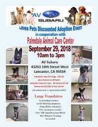 Accommodation that'll set tails wagging. Here Are Our Wonder Dogs You Can Meet County Of Los Angeles Palmdale Animal Care Center Facebook