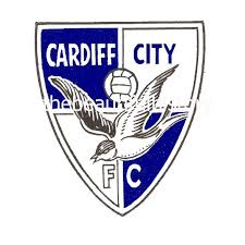 The republic of ireland youth international joined our academy aged 10 and progressed through the ranks, signing his first professional contract with us in april 2019. Cardiff City The Beautiful History