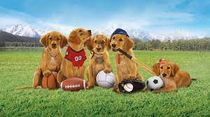 Films for ages 8 to 10, children & family films, films for ages 5 to 7. Air Buddies Netflix