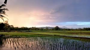 800x1000 wallpaper pemandangan alam for android>. Menikmati Keindahan Alam Semesta Steemit