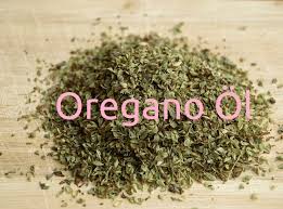 Oregano Ol Vorteile Dosierung Und Wirkung Medizin Fitness Ernahrung