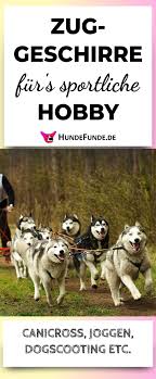 Zuggeschirre Fur Canicross Dogscooting Und Andere Zughundesportarten Zuggeschirr Hunde Hundegeschirr