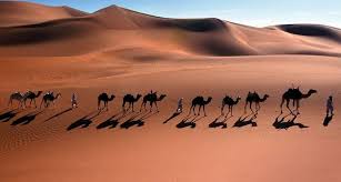 North african merchants carried luxury goods from across the islamic world and salt purchased from the desert salt mines to. Camel Caravan Through The Sahara Desert Near Djanet Algeria Bing Gallery