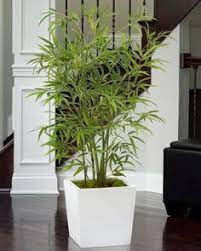 Artificial silk flowers fake bouquet bunch wedding party home garden decoration. 870 Artificial Plants Indoor Ideas Artificial Plants Indoor Artificial Plants Plants