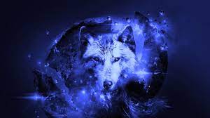 Best Cool Wolf Wallpaper Hd 2021 Live Wallpaper Hd Wolf Wallpaper Hd Wallpaper Background Hd Wallpaper