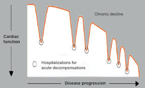 Scielo Brasil Understanding Hospitalization In Patients With Heart Failure Understanding Hospitalization In Patients With Heart Failure