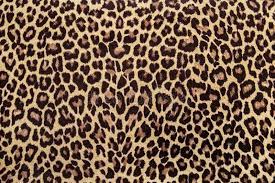 We have the supplies and tools just for you. Leopard Print Fabric Pattern Wallpaper Sample Stock Image Image Of Camouflage Background 156455891