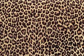 Check spelling or type a new query. Cheetah Print Hintergrundbild Nawpic