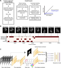 Only works on minecraft java edition. Deepethogram A Machine Learning Pipeline For Supervised Behavior Classification From Raw Pixels Biorxiv