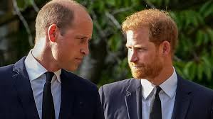 Este es el verdadero motivo por el que el príncipe Harry no se reencontró  con su hermano Guillermo en Inglaterra