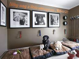 Drool Worthy Dream Spaces For Dogs Hgtv Dog Bedroom Puppy Room Animal Room
