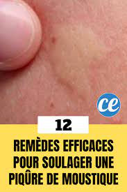 Découvrez toutes les meilleurs astuces et trucs maison : 12 Remedes Super Efficaces Pour Soulager Une Piqure De Moustique Instantanement Piqure De Moustique Remede Piqure Moustique Moustique