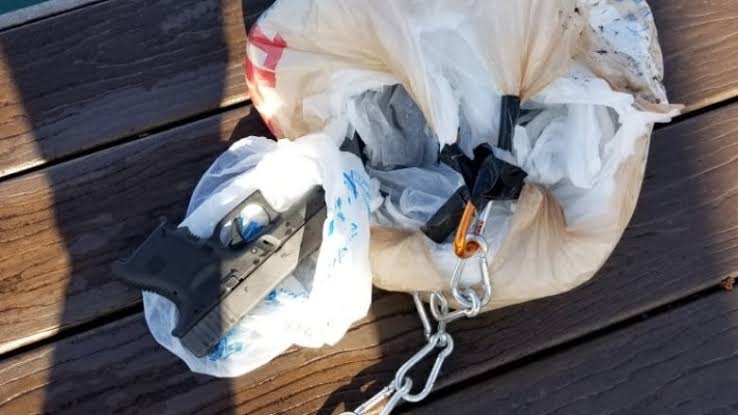 A drone carrying guns from the U.S. crashes into tree in Canada