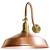 Flexible Gooseneck Light