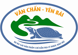 标志标识 · logo素材 · 字体字库 · 样机模板. Sáº£n Pháº©m Ba Ba Gai VÄƒn Cháº¥n Ä'Æ°á»£c Cáº¥p VÄƒn Báº±ng Báº£o Há»™ Chá»‰ Dáº«n Ä'á»‹a Ly
