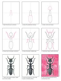 How To Draw An Ant Art Projects For Kids Insect Art Projects Ant Art Flower Drawing