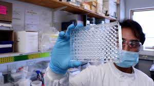 Since then, it has spread to 29 countries, mainly in south america. Lambda Variant What Is The Highly Infectious Variant And Can It Work Around Vaccines Heraldscotland