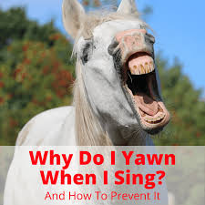 Jan 09, 2021 · yawning excessively is when the act of yawning occurs repeatedly or in close succession. Why Do I Yawn When I Sing And How To Prevent Yawning While Singing Musicaroo