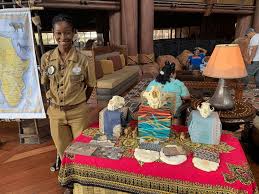 Now, the rooms have undergone a recent renovation. Free Things To Do At Disney S Animal Kingdom Lodge