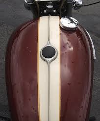 Image result for Honeysuckle 1972 Triumph