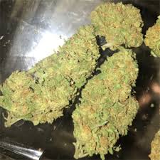 Almost a light orange since the leaves are so coated and the hairs are all that are there to add more color. Blue Dream For Sale Buy Blue Dream Online Blue Dream Near Me
