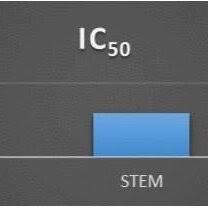 Image result for Rytigynia umbellulata