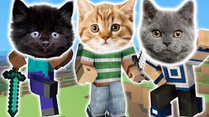 Konusan Kediler Ekibiyle Minecraft Oynuyoruz Youtube