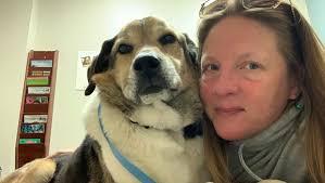 Fundraiser by Heather Rende : Baxter's Medical Fund