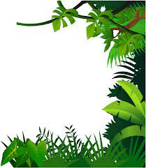 Open Full Size Vegetation Drawing Jungle Plant Jungle Frame Clipart Download Transparent Png Image And Share Seek Jungle Drawing Jungle Flowers Vine Drawing