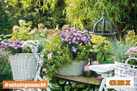 Mach Jetzt Deinen Garten Fruhlings Fit Mit Wunderschonen Blumen Von Obi Garten Blumen Obi Fruhling Mitobigemacht Pflanzen Pflanzen Kaufen Garten