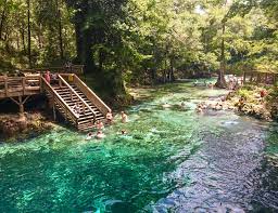 The park was established after a private owner sold 38 acres at the spring in 2000. Swimming At Madison Blue Spring State Park In Florida Jetset Jansen