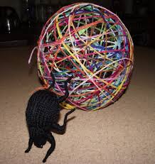 Our episode the curious webspinner insect knits a cozy home won an emmy sf tv, natas norcal. Knitted Dung Beetle Has Found My Scraps Of Wool And Is Recycling Them Crazy Toys Knitted Crafts