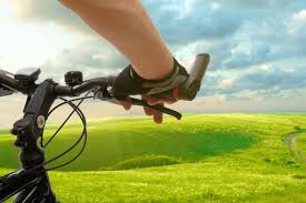 Radtouren Am Bodensee Mit Kindern