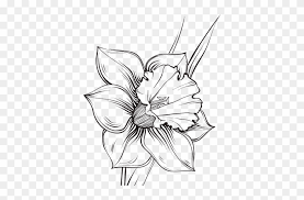 Vector illustration of hand drawn ornate eggs and spring flowers in the basket. Picture Free Library Daffodils Drawing Realistic Shablon Narciss Free Transparent Png Clipart Images Download
