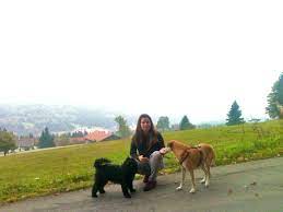 Erleben sie spezielle angebote mit hundetrainings, wellness und vielem mehr. Landhotel Haus Waldeck Zu Gast Im Bayerischen Wald Hundereisenmehr
