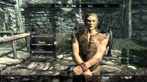 Skyrim The Best Race For Playability For All Character