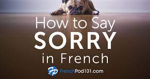 Much more formal is je vous demande pardon (= i ask for your forgiveness ). How To Say Sorry In French