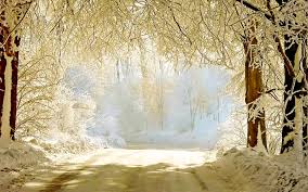 Beautiful winter background clipart free download! Bnha Winter Wallpaper Novocom Top
